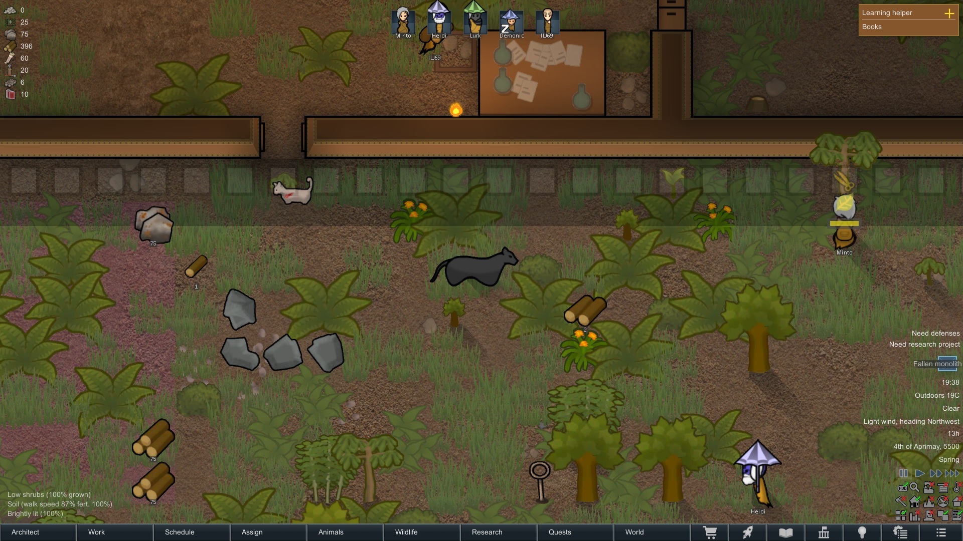 panther.jpg
