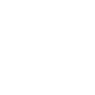 Photon_Icon_white - Copy - Copy (2).png