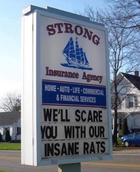 ratz.jpg