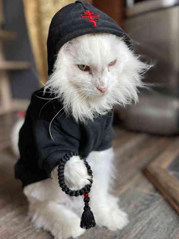 religious kitty.jpg
