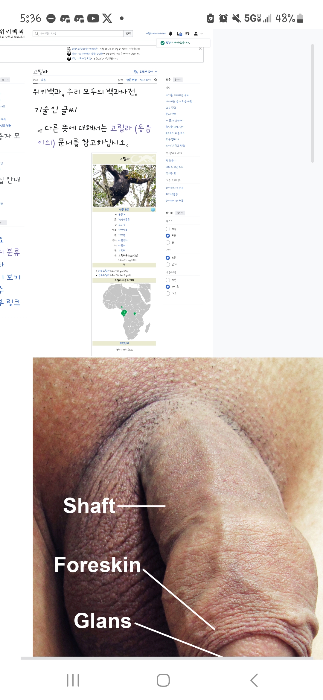 Screenshot_20250509_173610_Samsung Internet.jpg
