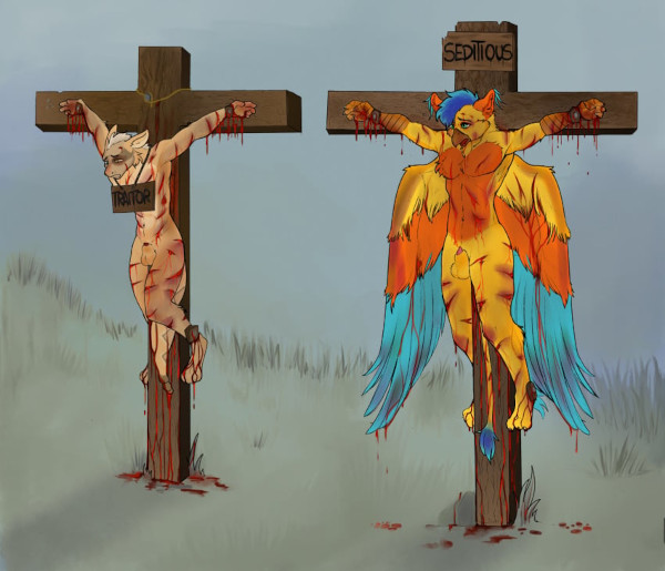 sdfjhnsdf.jpg