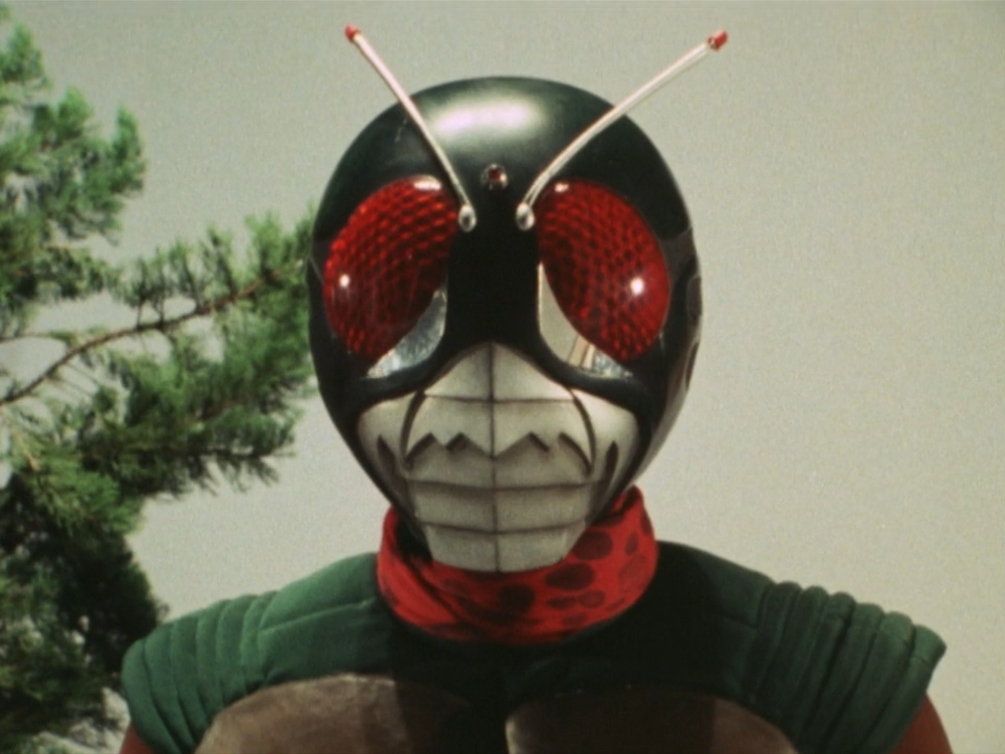 Skyrider_Profile.png