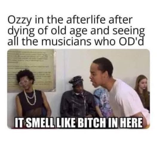 smelllikebitch.jpg