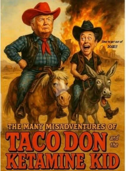 taco-don.jpg