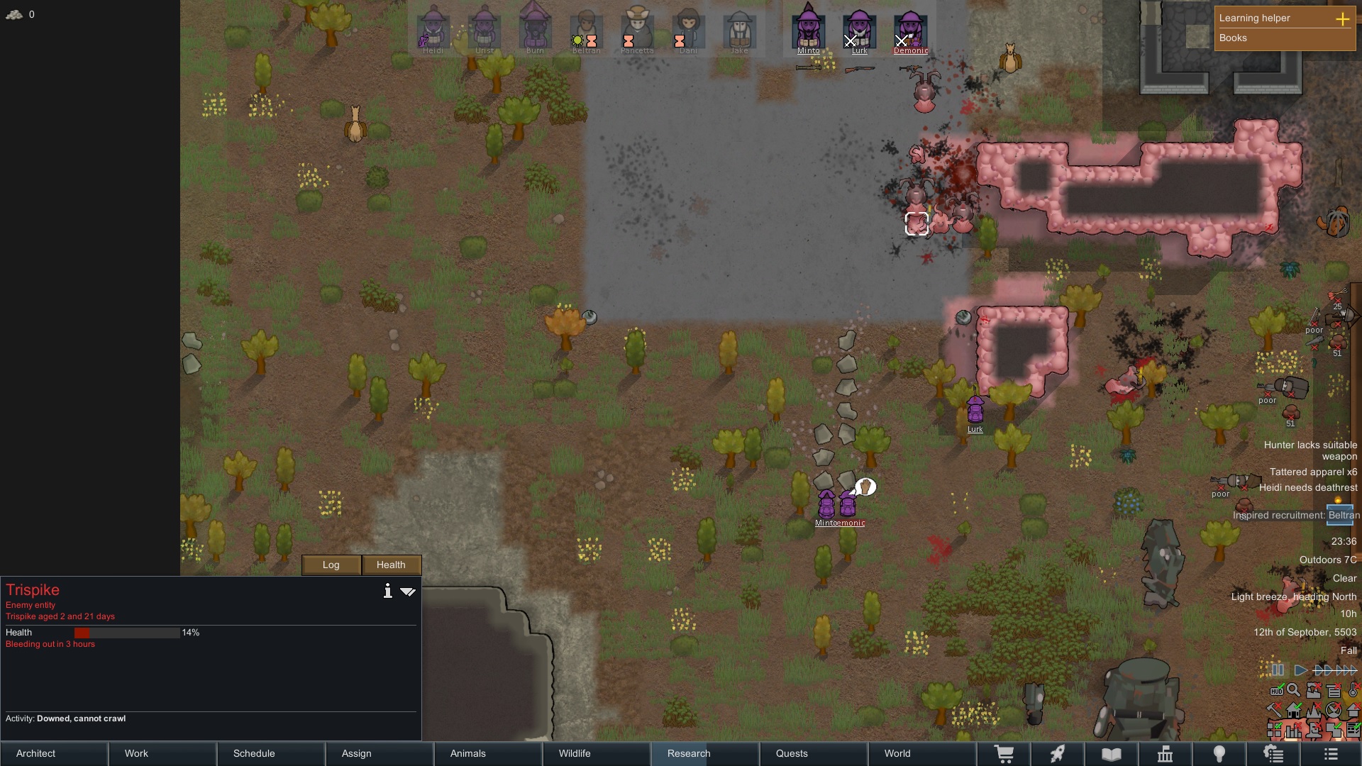 toomany.jpg