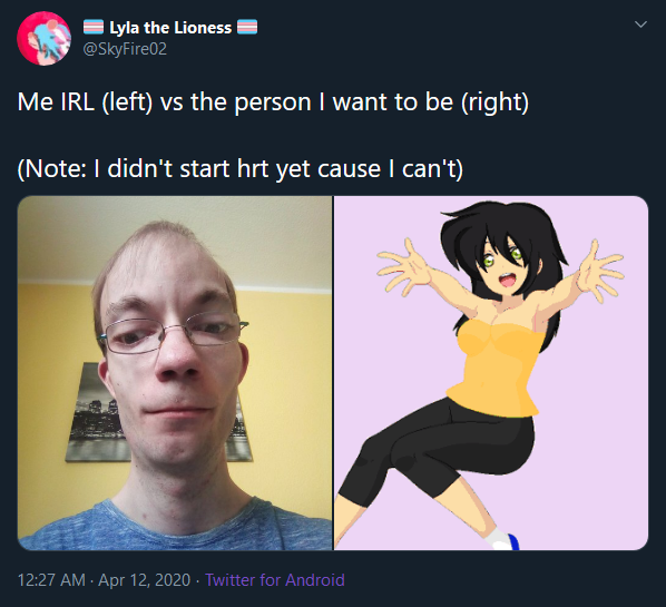 Tranny Avatars vs Real Life - 10.png