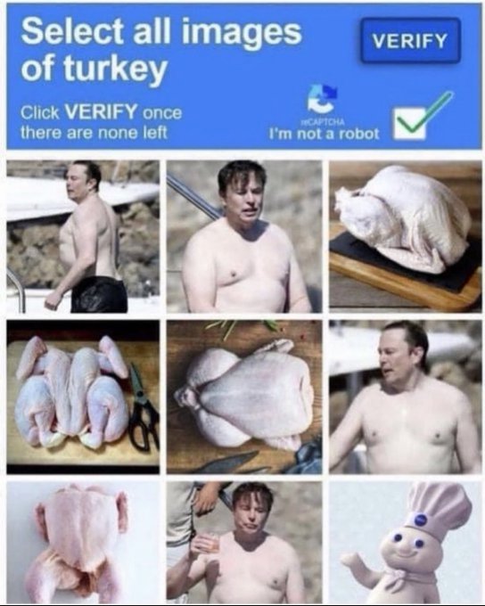 turkey.jpg