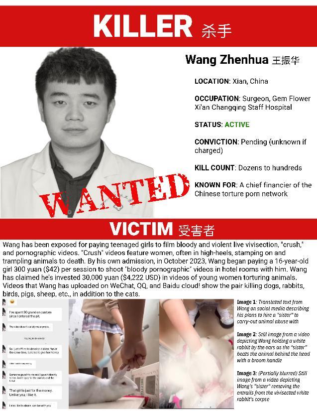 WANG ZHENHUA Abuser Flyer.jpg