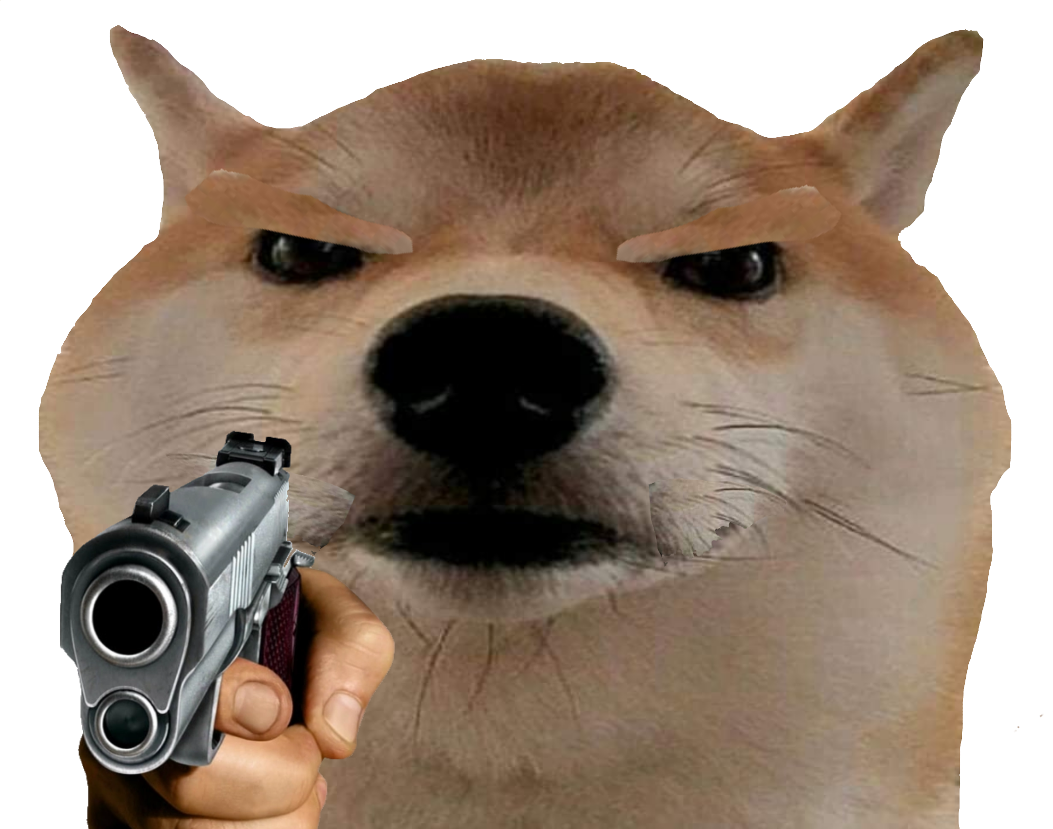 yugz2apjanp41.png
