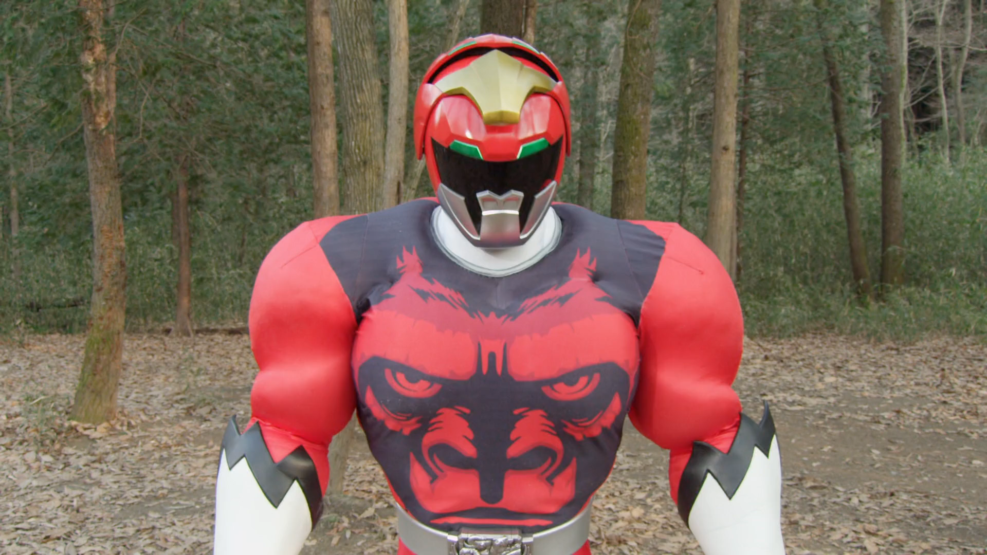 Zyuoh_Gorilla_Profile.png