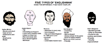 five types of englishman.png