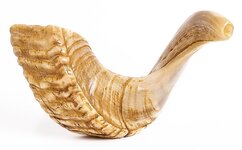 jericho-shofar.jpg