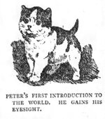 You'reJustTheManSaidPeter.jpg