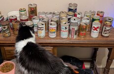 garbage picker.jpg