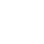 Photon_Icon_white - Copy - Copy (2).png