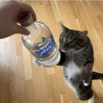65969d5af4a8f493.png