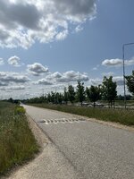 IMG_2732.jpeg