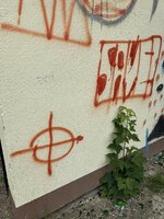 IMG_3790.jpeg