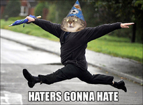 haters gonna hate.png
