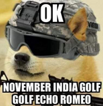 NIGGER_Doge2.png