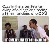 smelllikebitch.jpg