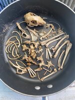 Decomposition Project2 7-3-2025.jpg