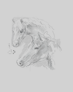 palomino.png