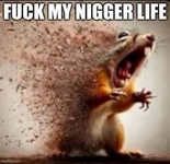 image-7.png