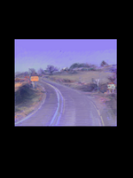penk 5 26082025.png