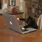 jobTest.gif