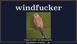 Screenshot 2025-10-23 021500.png