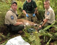 4C7544A800000578-0-A_cougar_killed_one_man_32_and_injured_another_when_it_attacked_-a-17_15268...jpg