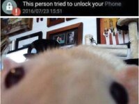 1000005101.jpg