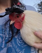 20260222_181623.jpg