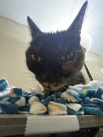 IMG_1049.jpeg