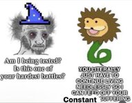 1000005526.jpg
