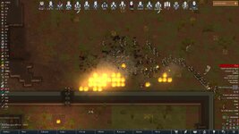 mintyshenan.jpg