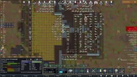 raid7backattack.jpg