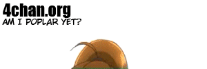 9.gif