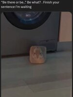 1000005670.jpg