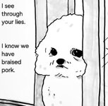 1000005798.jpg