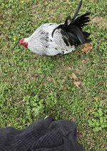 20260315_152329.jpg