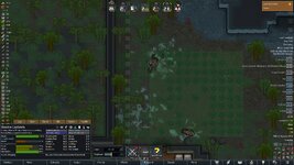 bugsdone.jpg