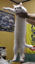 IMG_0724.jpeg