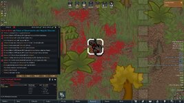 incap.jpg
