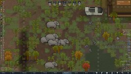 herdof7.jpg