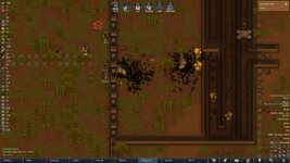 defense.jpg