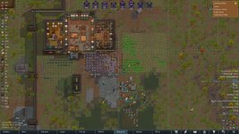 year5.jpg
