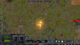 torchingmorts.jpg